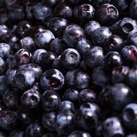 Frozen Organic Wild Blueberries 1kg
