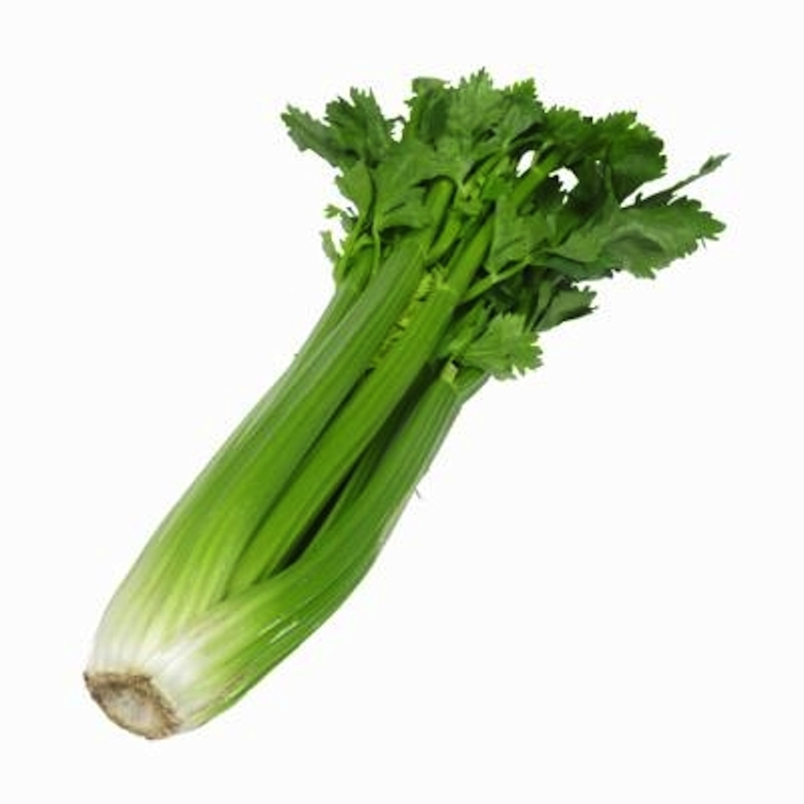 Celery, Whole - Medium (Biodynamic, WA) - fresh