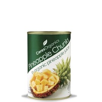 Pineapple Chunks in Fruit Juice 400g