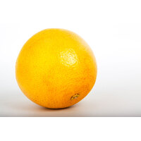 Grapefruit - Large 