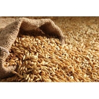 Pearl Barley 1kg