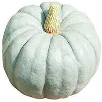 Jarradale Pumpkin 1kg