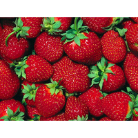 2 PACK - Large Strawberries Punnet 250g